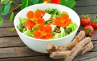Senföle aus Meerrettich und Kapuzinerkresse – gesund und scharf 