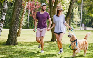 Sport oder Bewegung: Wie lässt es sich gesünder leben?  