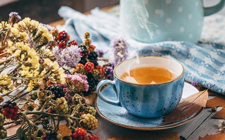 Ist Tee gesünder als Kaffee?