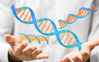 in der Medizin - Entdeckung der DNS