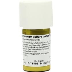 EQUISETUM CUM Sulfure tostum D 3 Trituration