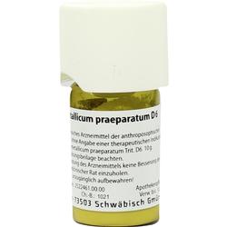 FERRUM METALLICUM PRAEPARATUM D 6 Trituration