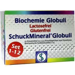 BIOCHEMIE Globuli Set 1-12 lactosefrei