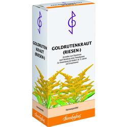 GOLDRUTENKRAUT Riesen Tee