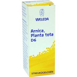 ARNICA PLANTA tota D 6 Globuli