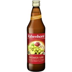 RABENHORST Ingwer-Mix Bio Saft