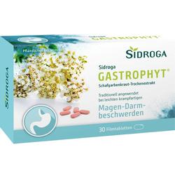 SIDROGA GastroPhyt 250 mg Filmtabletten