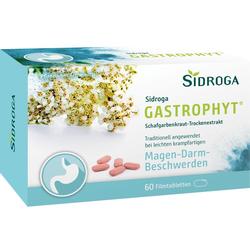 SIDROGA GastroPhyt 250 mg Filmtabletten