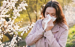 Baum-, Gräser- und Kräuterpollen – Was hilft gegen Heuschnupfen?
