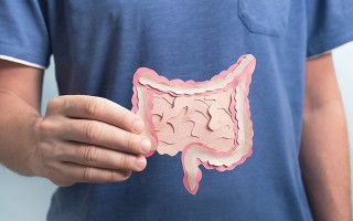 Einfluss der Darmflora auf das Immunsystem: Mikrobiom und Allergieneigung