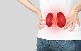 Symptome und Ursachen: Chronische Niereninsuffizienz behandeln